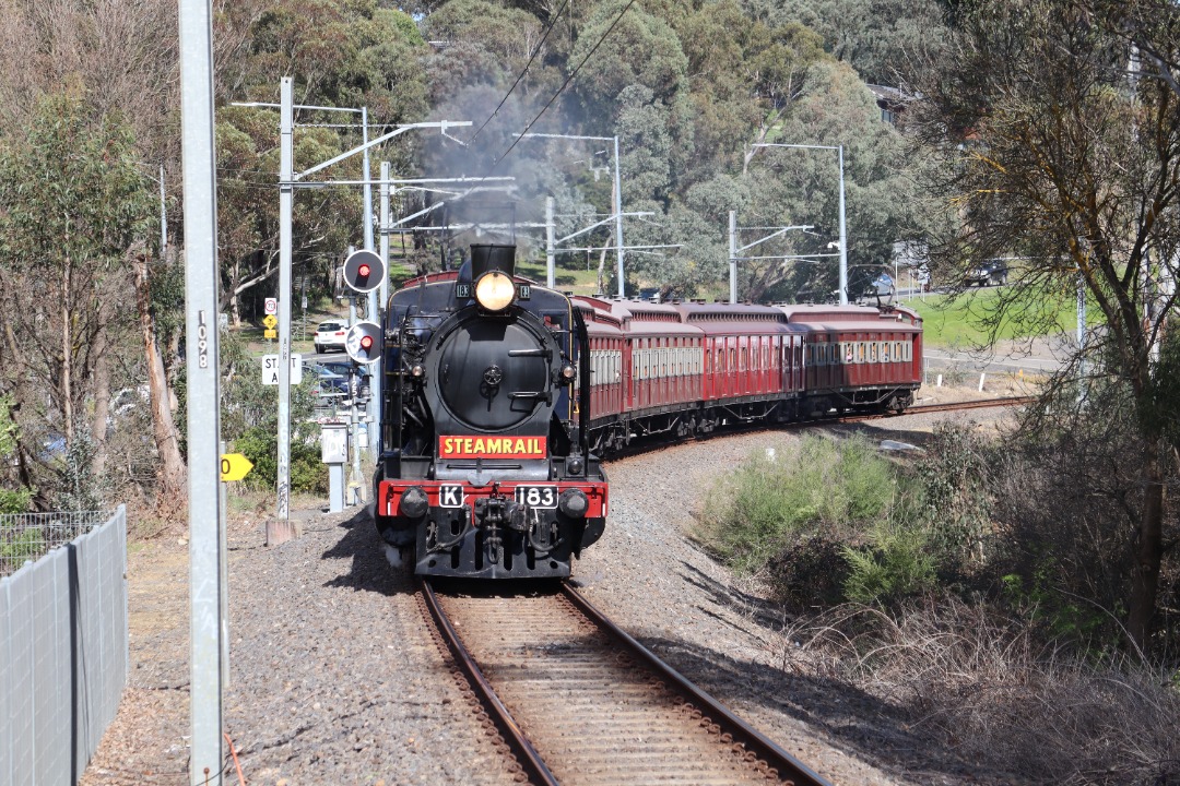 City Gunzals on Train Siding: Tomorrow, we will finish off Wattle Week on City Gunzals with a different, but special video.