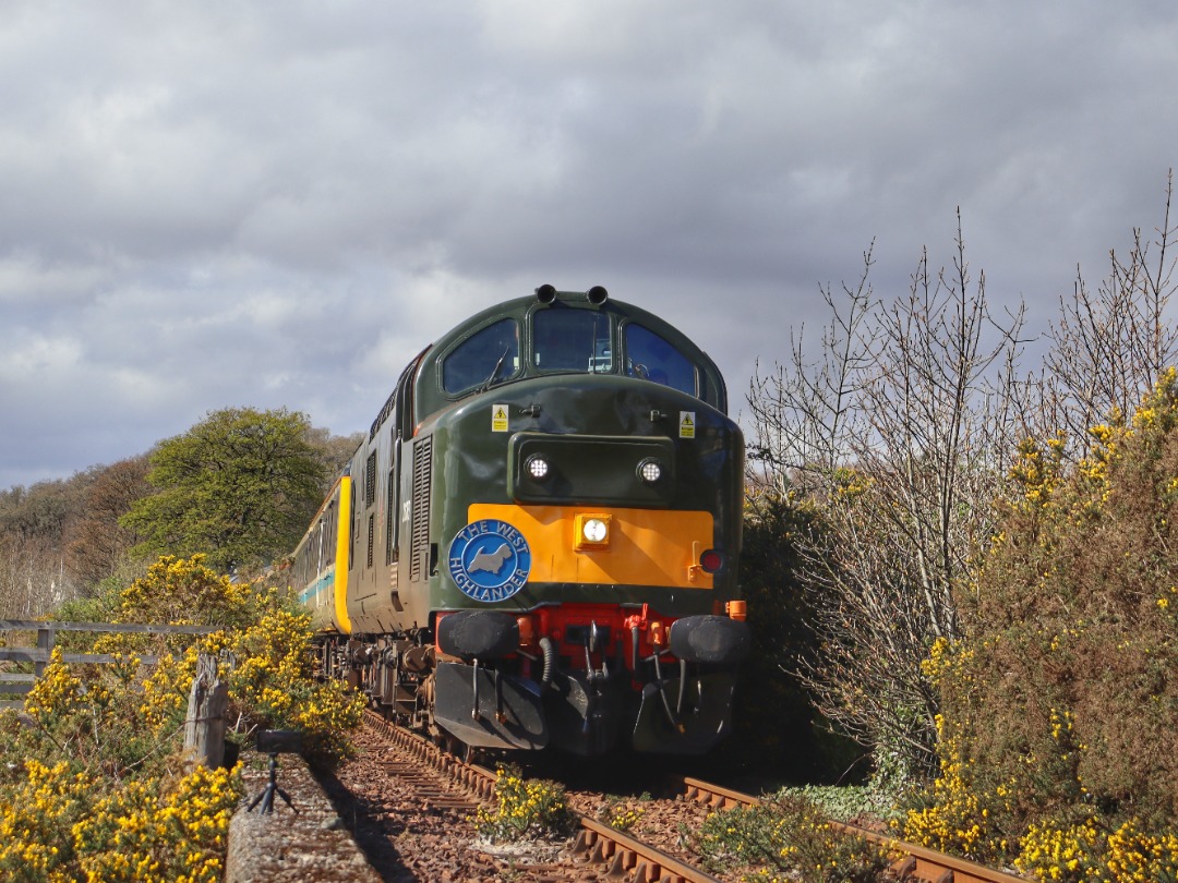 The Jamster on Train Siding: Locomotive Services 37667 leading 1Z38 1134 Mallaig to Fort William "The West Highlander" on the approach to Corpach.
08/04/24