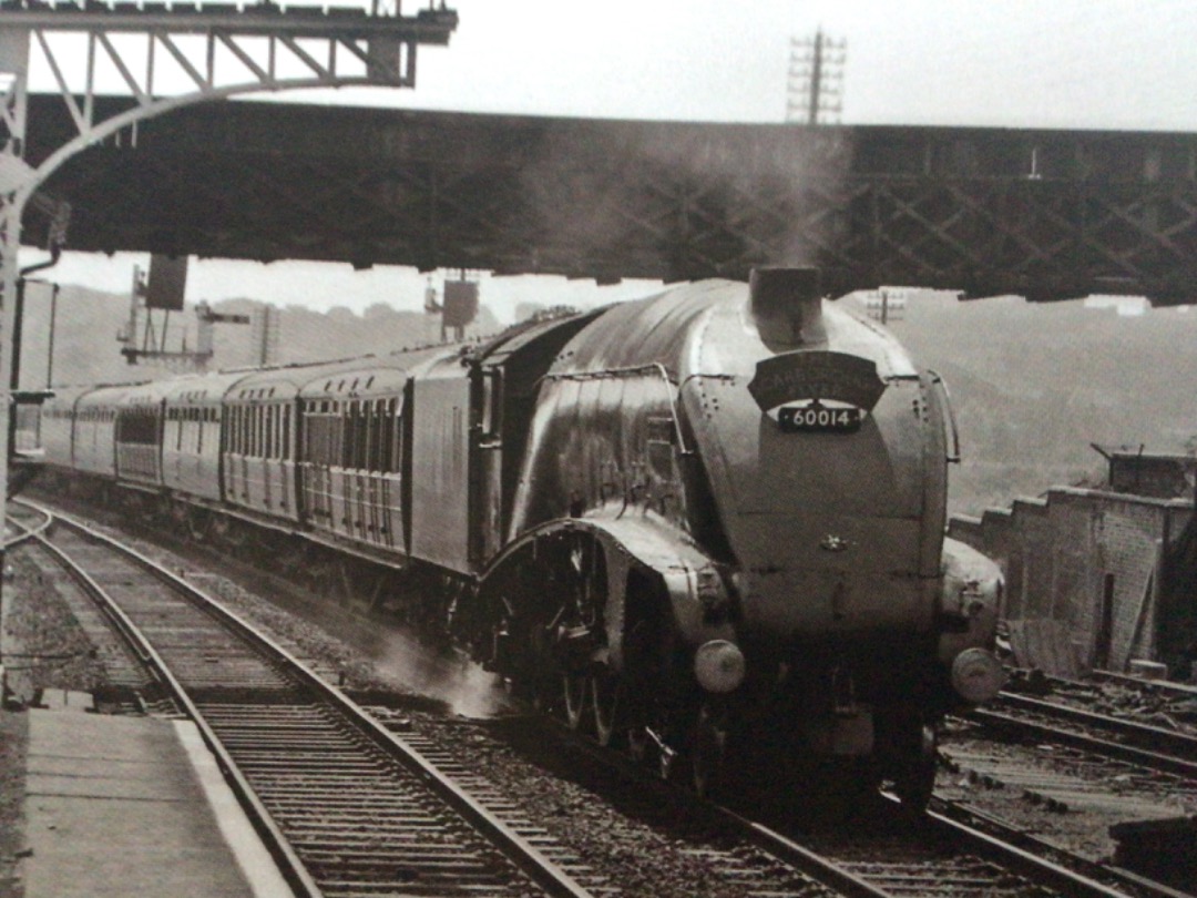 Alex Coomber on Train Siding: A Kings Cross Sheds Class A4 4-6-2 No. 60014 Silver Link heads through New Southgate Station with The Scarborough Flyer on 3rd
August 1957.