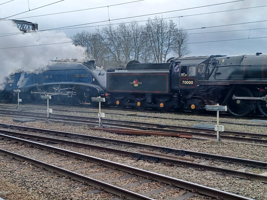 Trainnut on Train Siding: #trainspotting #train #steam #station #depot 69005 Eastleigh, 71000 Britannia, 60007 Sir Nigel Gresley and 60532 Blue Peter first run
today...