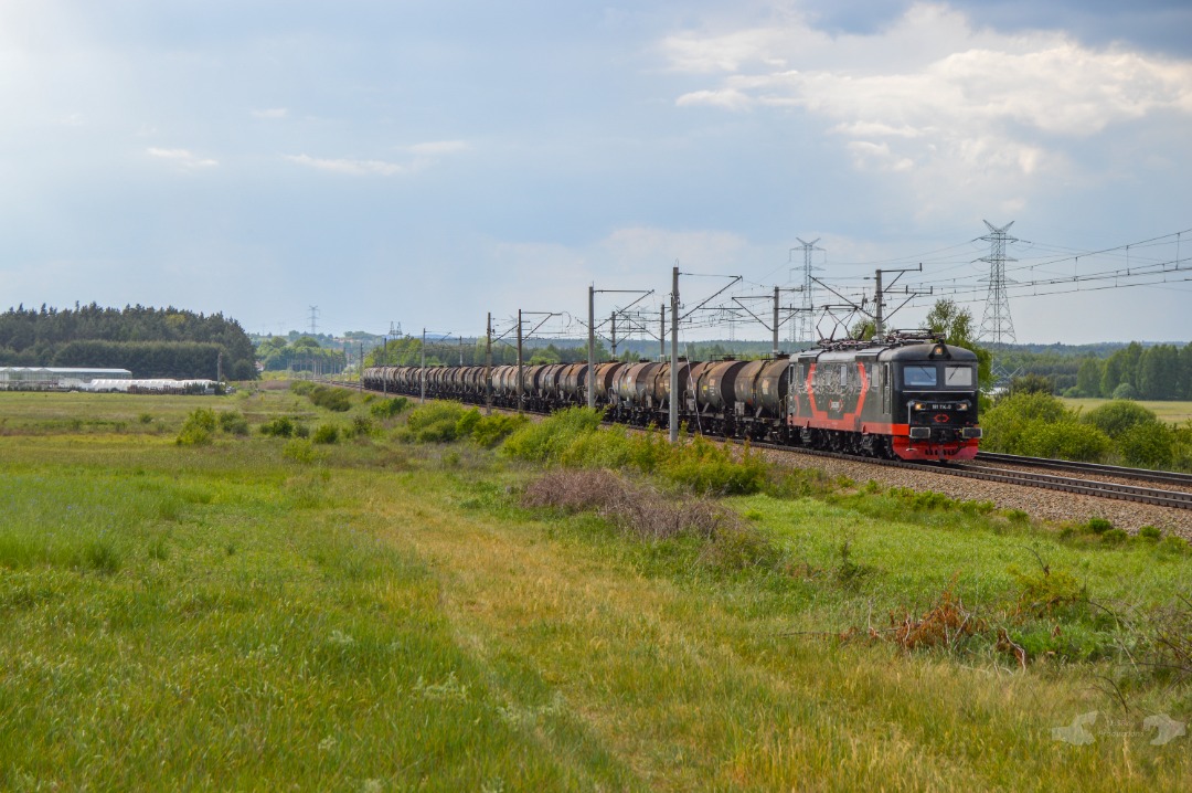 Adam L. on Train Siding: An Škoda built 181 Class Electric owned and leased by Cargounit is seen heading up the grade on the Kielce to Częstochowa
mainline, towards...