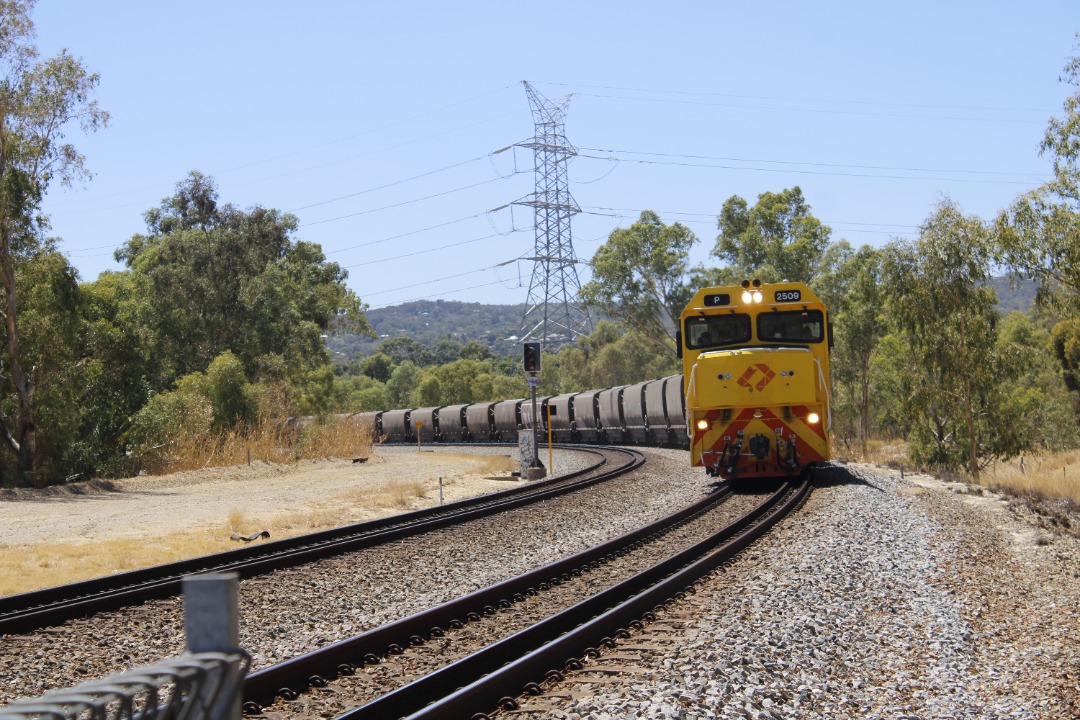 Gus Risbey on Train Siding: P2509 & P2501 are leading 3K44 grain from Kalannie Silos to Kwinana CBH terminal on the 30th of January 2024