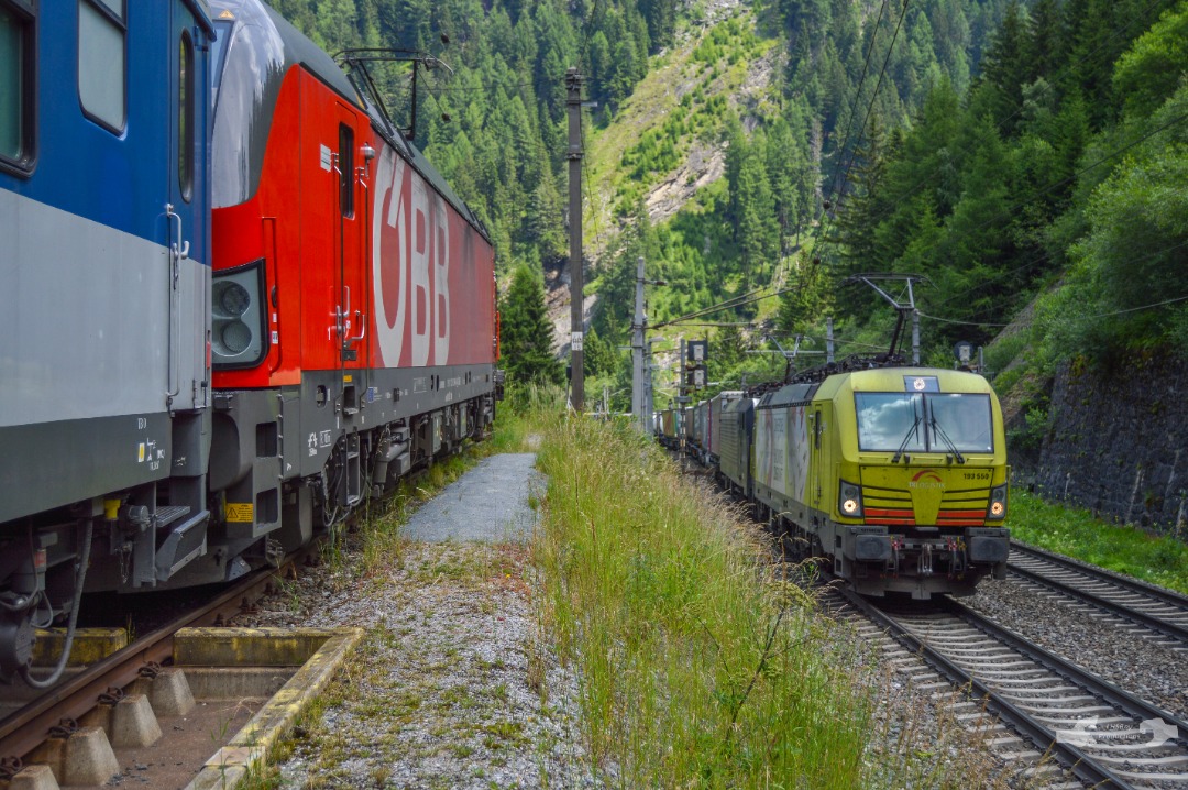 Adam L. on Train Siding: An TXL Logistik duet consisting of an Specially Veenerd Vectron in the lead (193 550) and a Siemens - Beacon Raúl Eurosprinter
trailing pull...