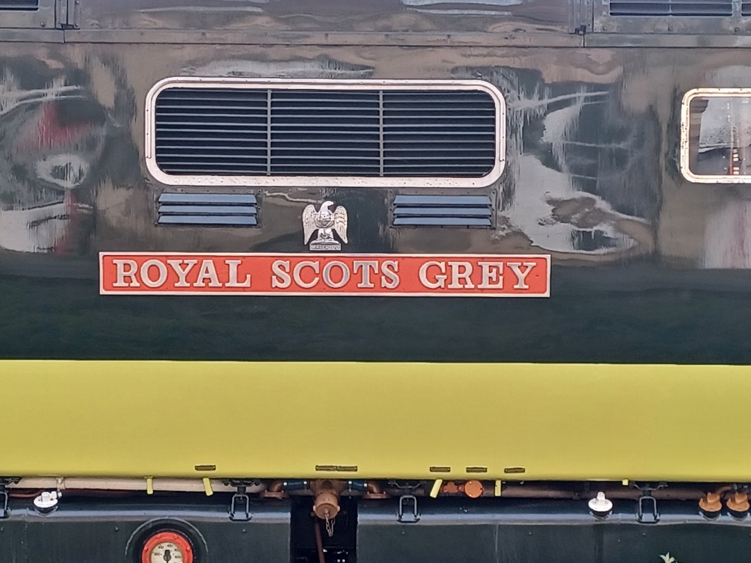 Trainnut on Train Siding: #photo #train #diesel #station D9000 Royal Scots Grey at Crewe yesterday and 37425 Concrete Bob at Crewe