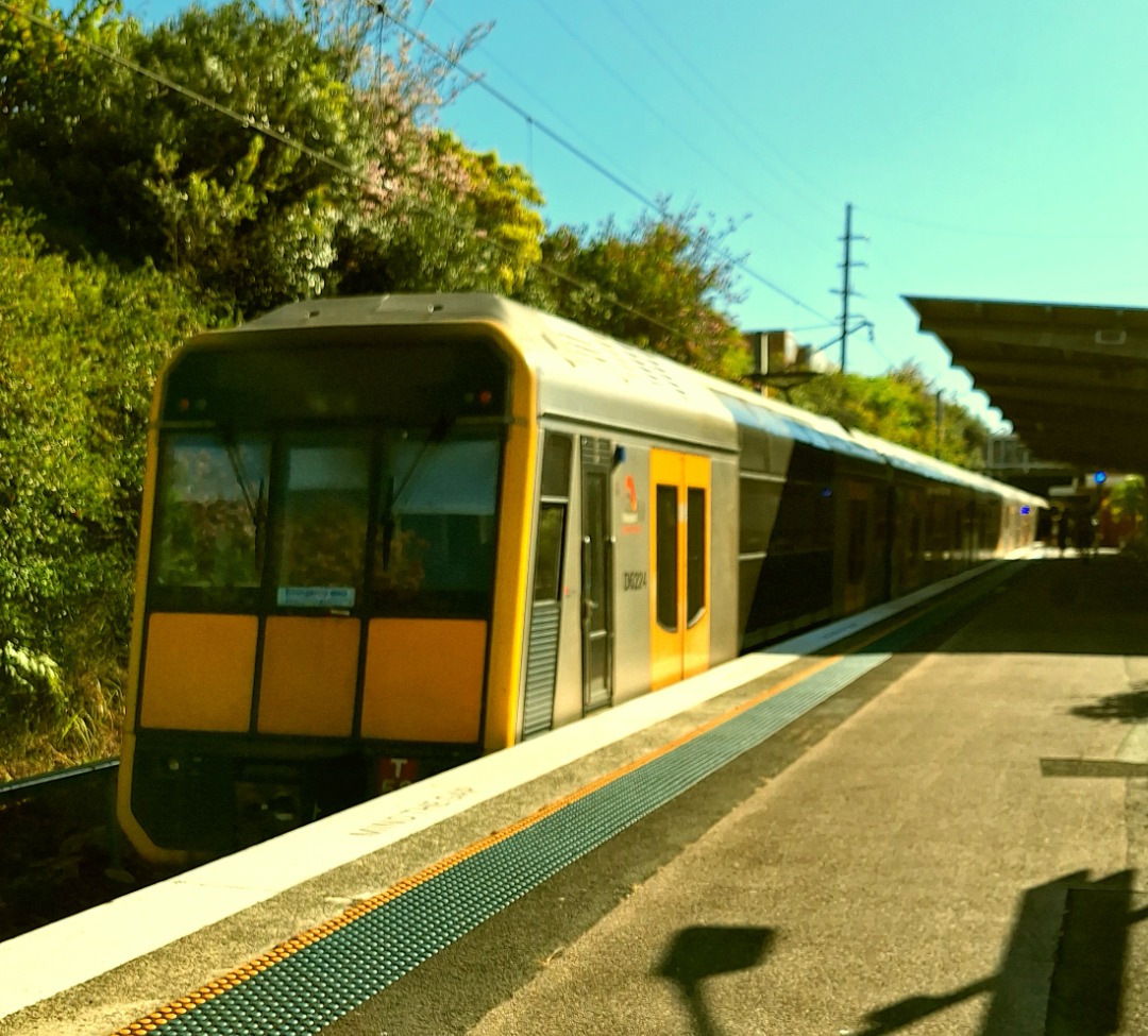 Caitlyn Maree Attard on Train Siding: Tanga or TSet (T50 trailing, unsure to front four cars) leaving Caringbah Station towards Bondi Junction