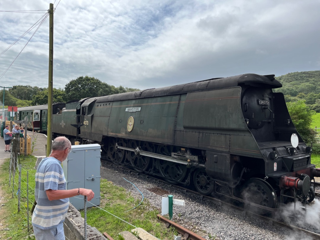 RodRail on Train Siding: #SwanageRailway #BattleOfBritain class #33 #Norden #HarmansCross #heritage #steam #roundel #target #totem