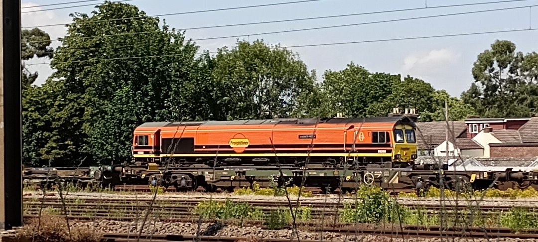 Hardley Distant on Train Siding: CURRENT: 66509 'Josiah's Wish' stands in the Yard at Ipswich Freightliner Depot today between duties.