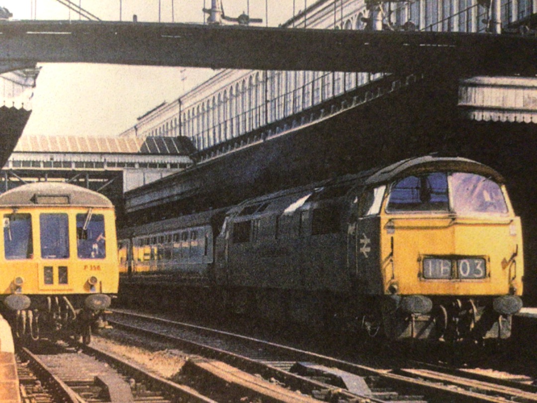 Alex Coomber on Train Siding: At Exeter St David's. On the left is a DMU and on the right is a Class 52. No. 1025 Western Guardsman with the 07:30 AM from
London...