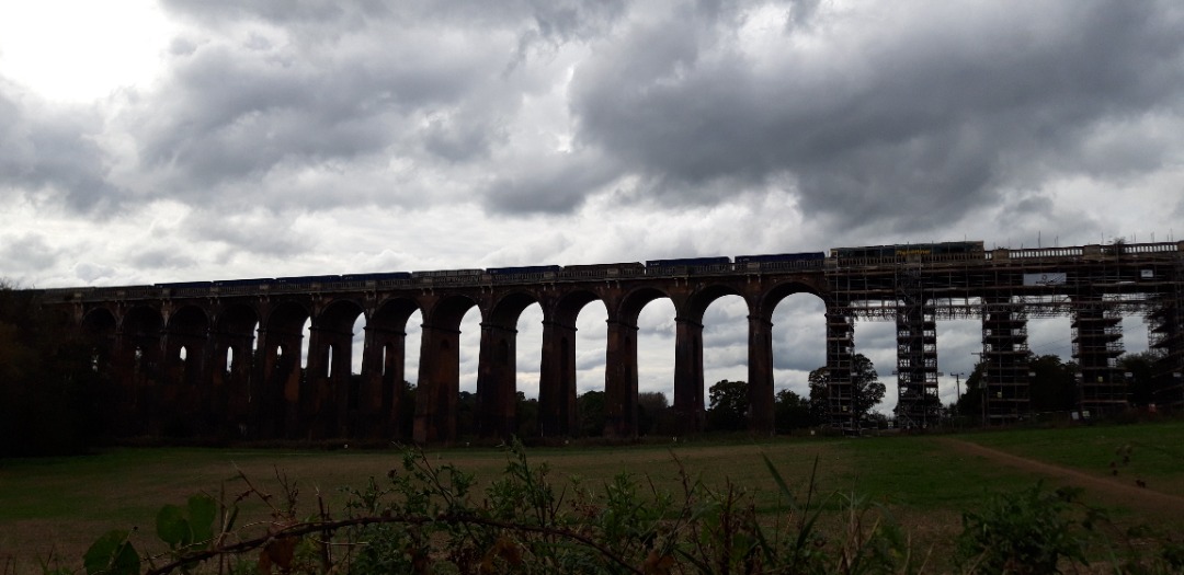 Train Matt1 on Train Siding: Ouse Valley Viaduct trainspotting from Borde Hill Road on Monday 16/10/23. Here is a Freightliner.