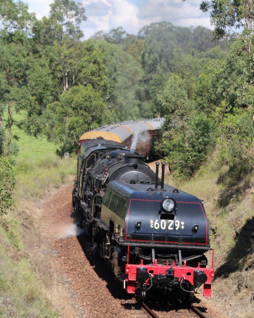 Thomas Robert Gordon Barnes on Train Siding: NSWGR AD60 class 6029 powers through the curves of Mindaribba on its way to Patersekn with kne of the many shuttles
it...