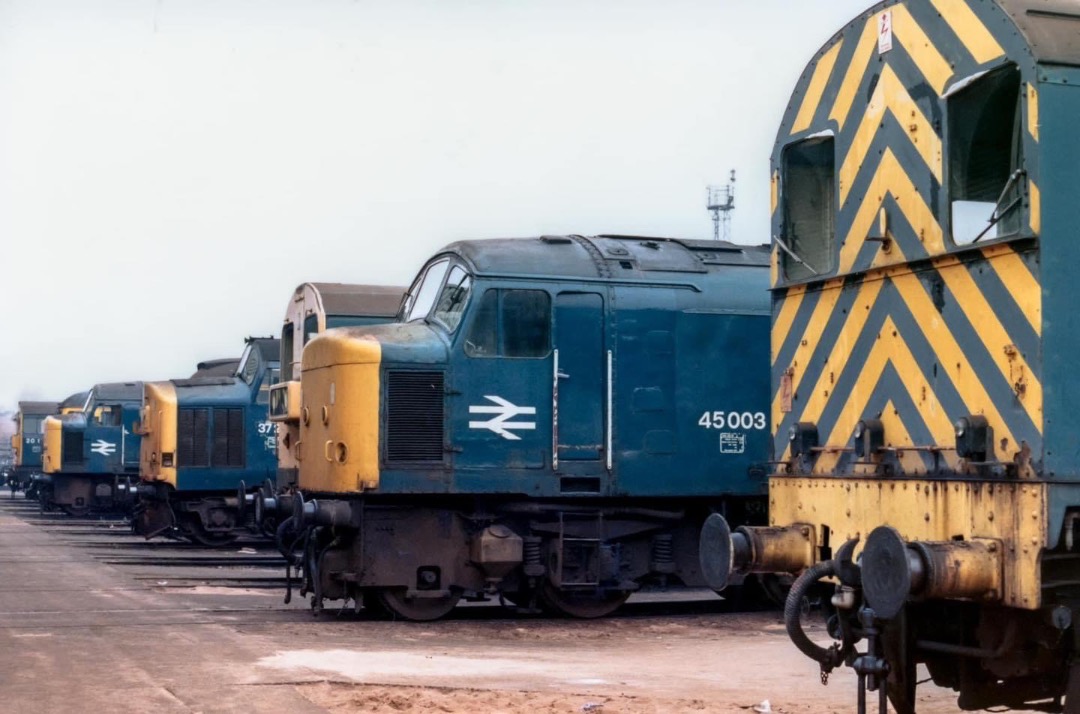 Inter City Railway Society on Train Siding: The line up at Toton during a Lincoln Railway Society visit on 19th November 1983.