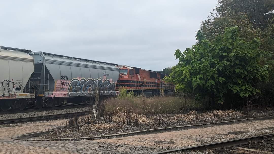 CaptnRetro on Train Siding: September of 2023 I was down to Salamanca, stopped by the depot. Two yard goats waiting on standby, a leading ex BNSF diesel on the
B&P...