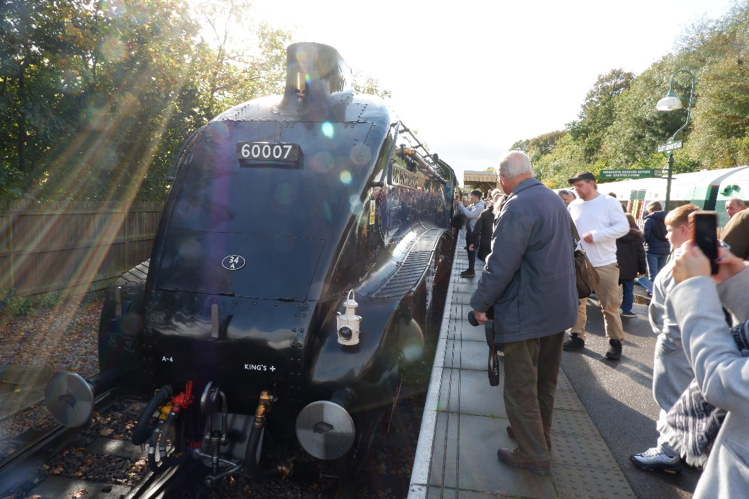 Rafael on Rails on Train Siding: Giants of Steam at the Bluebell Railway: 73082 Camelot, 6989 Wightwick Hall, 60007 Sir Nigel Gresley and 34059 Sir Archibald
Sinclair.