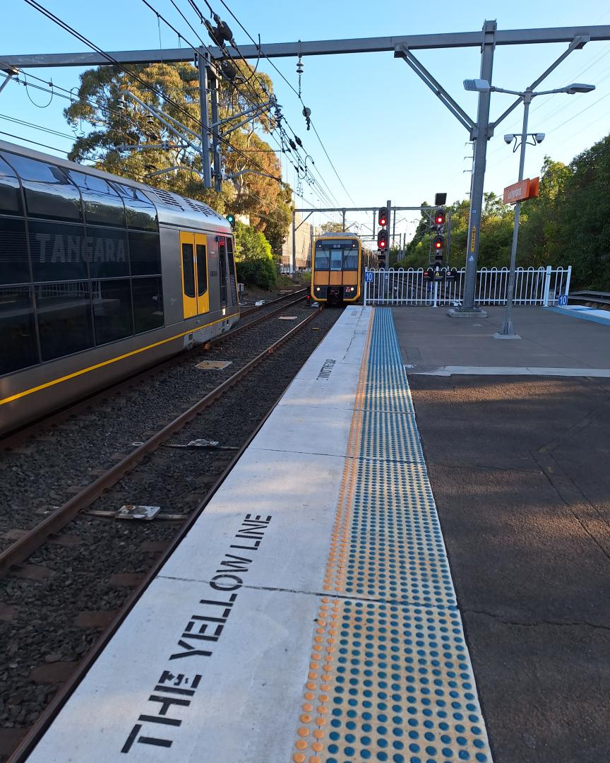 Caitlyn Maree Attard on Train Siding: T4 LINE on the Sydney Trains Network T Set T53 at the front and T5 trailing approaching Sutherland Station,platform 2