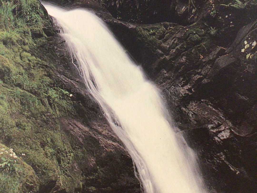 Alex Coomber on Train Siding: The lower falls at Dolgoch are close to the station. But a couple of hours or more should be allowed to reached the top of the
gorge. A...