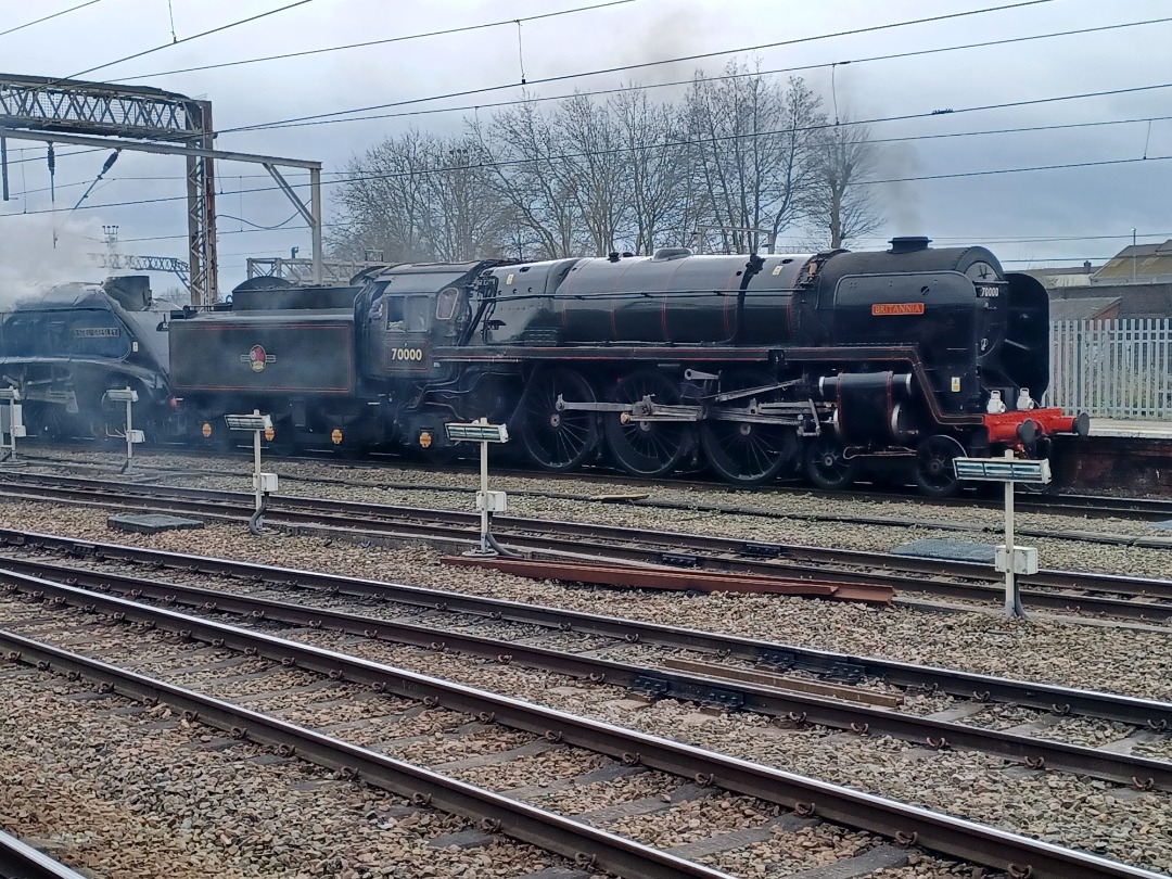 Trainnut on Train Siding: #trainspotting #train #steam #station #depot 69005 Eastleigh, 71000 Britannia, 60007 Sir Nigel Gresley and 60532 Blue Peter first run
today...