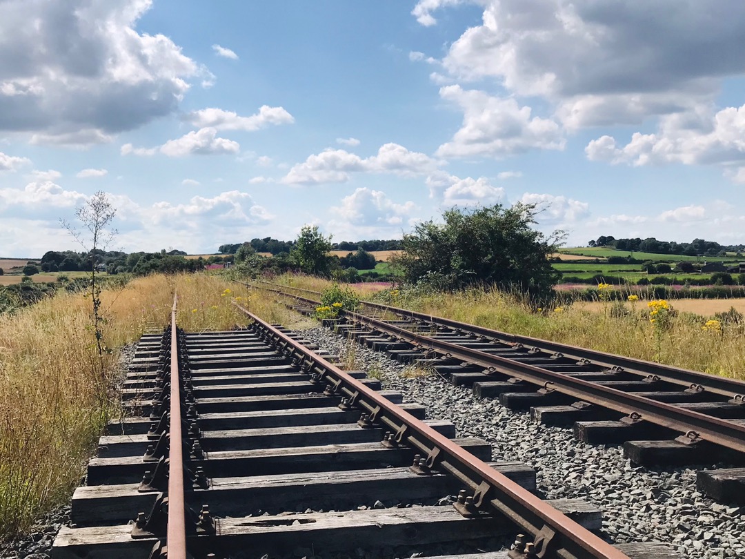 George on Train Siding: The trackbed of the former South Staffordshire Railway in Lichfield yesterday, most of the line is surprisingly untouched after closure
in 1984.