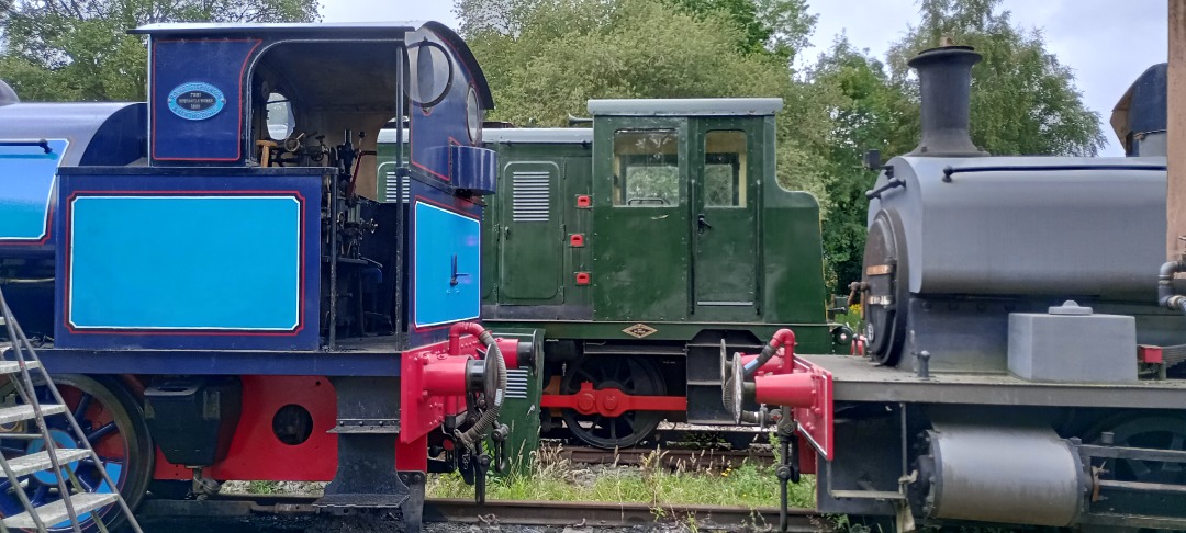 Hardley Distant on Train Siding: HERITAGE: On Saturday 3rd August 2024 I paid a brief visit to the Whitwell & Reedham Railway in Norfolk.