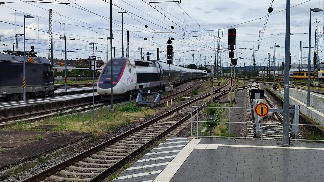 Christian Deysson on Train Siding: Speedy guest from France: TGV 9577 from Paris (Est) to Stuttgart. Could use a little wash up though...