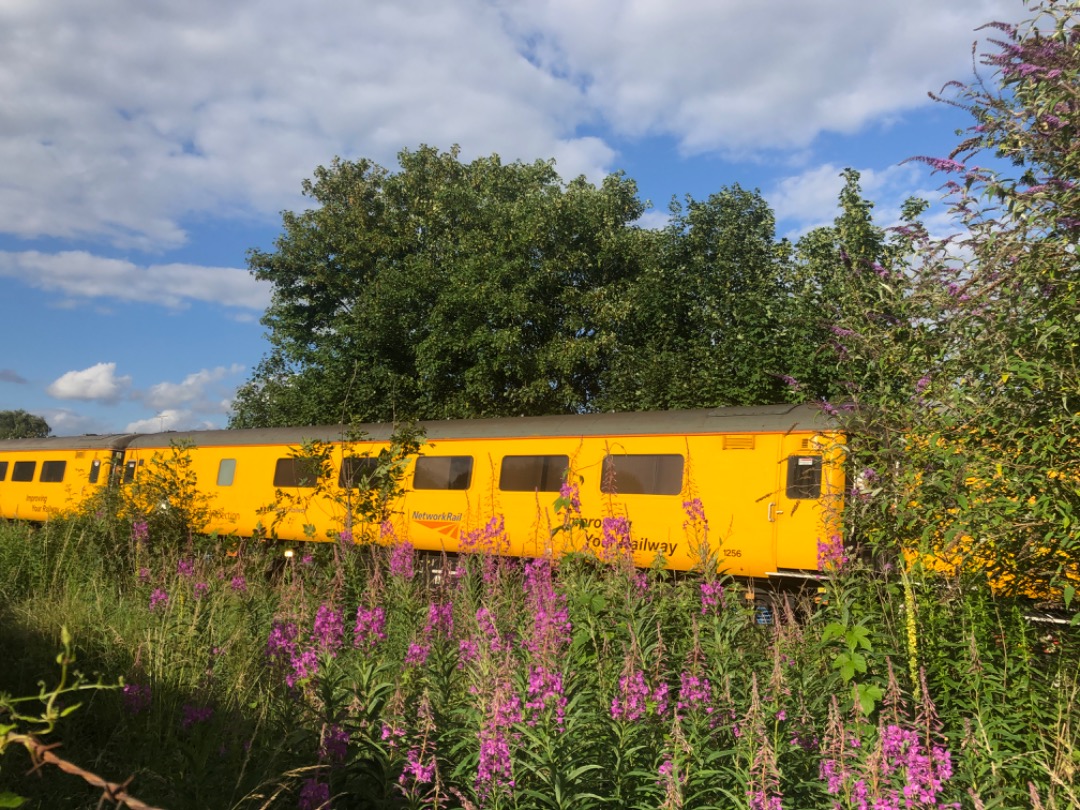 Andrew Brown on Train Siding: ‪37099 “Merl Evans 1947-2016” in Colas Rail Freight livery leads the 147I Derby R.T.C. to Eastleigh Arlington track
inspection...