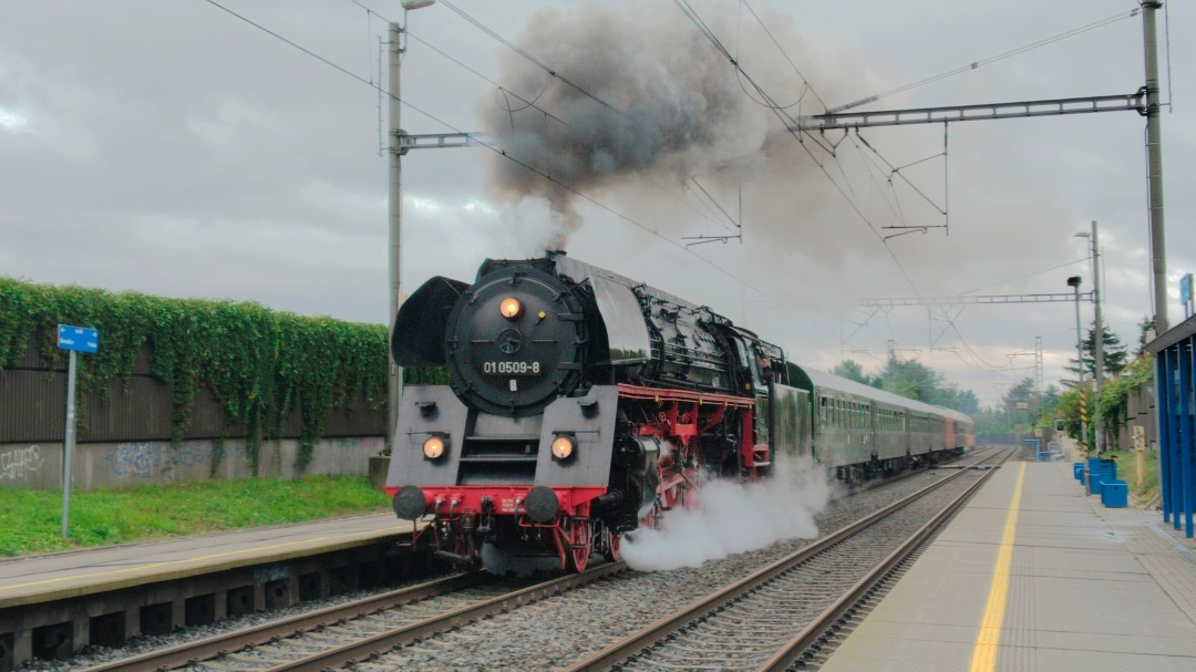 Davca ☑️ on Train Siding: Stream express with german stream locomotive ( idk name) from bad Schandau to Benešov u Prahy in Praha - Kolovraty z. on
festival...