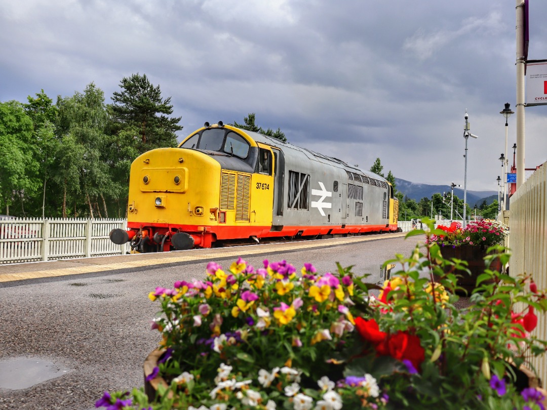 The Jamster on Train Siding: Preserved 37674 sits pretty at Aviemore station on the Strathspey Railway as it waits to take the Royal Scotsman to Boat of Garten.
15/07/24