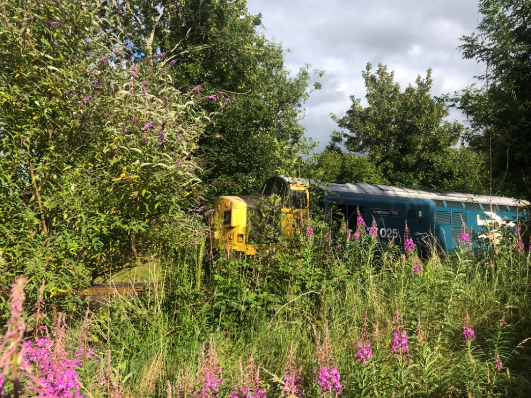 Andrew Brown on Train Siding: 37099 “Merl Evans 1947-2016” in Colas Rail Freight livery and 37025 “Inverness TMD” in British Rail Large
Logo livery have spent...