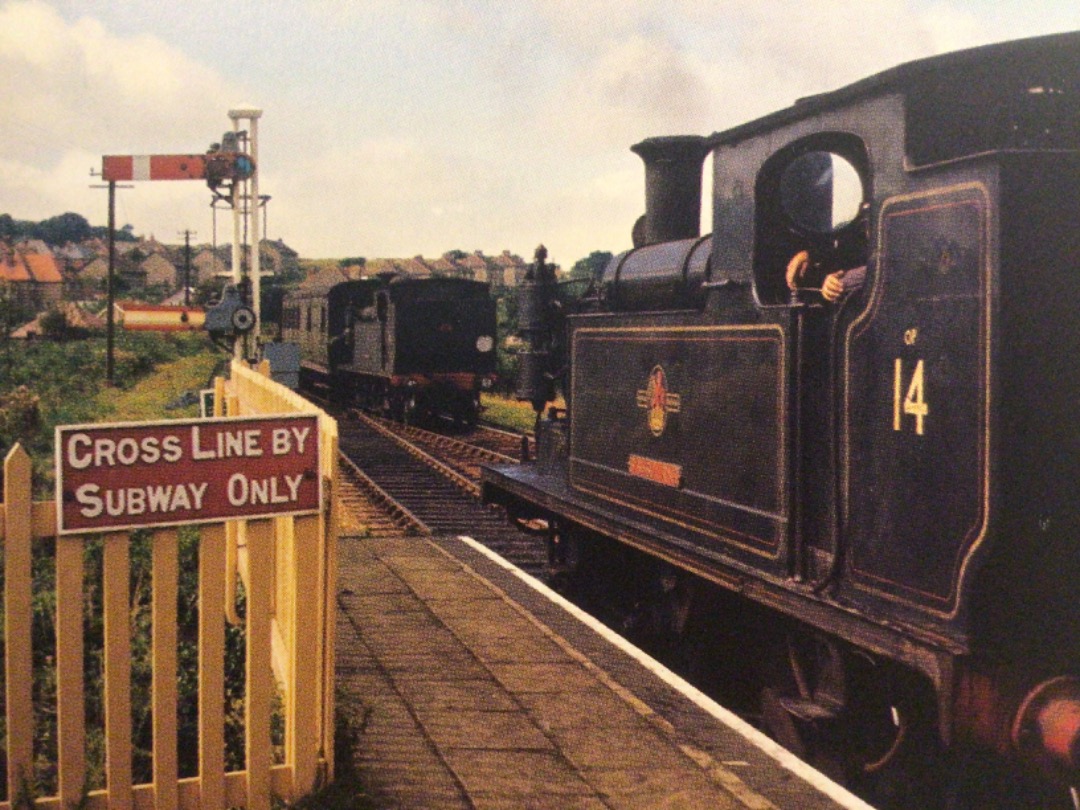 Alex Coomber on Train Siding: A Class 02 0-4-4T No.14 Fishbourne waits for the road ahead at Shanklin in 1962 while No.16 Ventnor approaches with a train from
Ventnor....