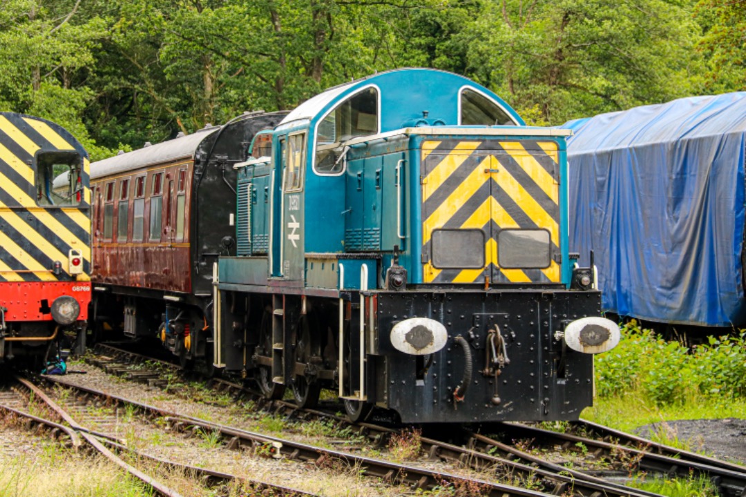 Martin Coles on Train Siding: On this day, 11th August 2021, BR Blue liveried Class 14 D9521 stands in the sidings at Norchard on the Dean Forest Railway.