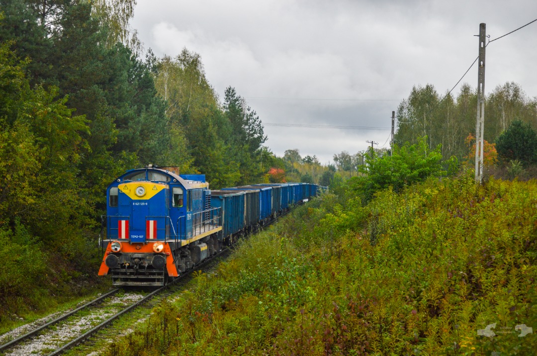 Adam L. on Train Siding: Kotlarnias TEM2 Class Switcher, numbered 107 with a string of horribly maintananced PKP Cargo gondolas is seen heading down grade
towards the...