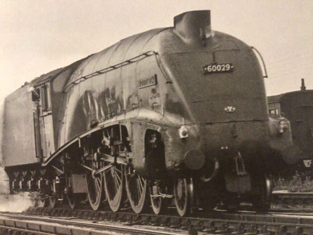 Alex Coomber on Train Siding: Hauling The West Riding Class A4 4-6-2 No. 60029 Woodcock at speed on Werrington Troughs north of Peterborough on 18th July 1959.