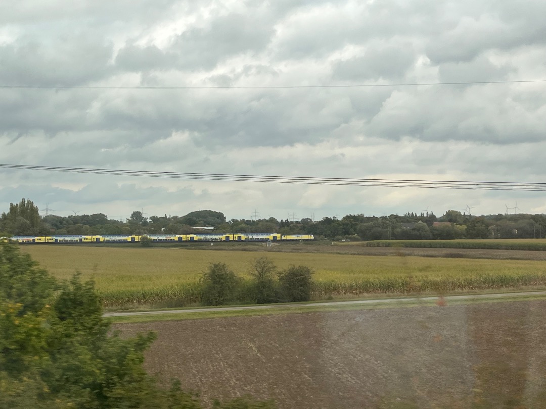 Joran on Train Siding: Een Metronom trein met graffiti die nogal moeilijk te zien is in de verte genomen vanuit de trein.