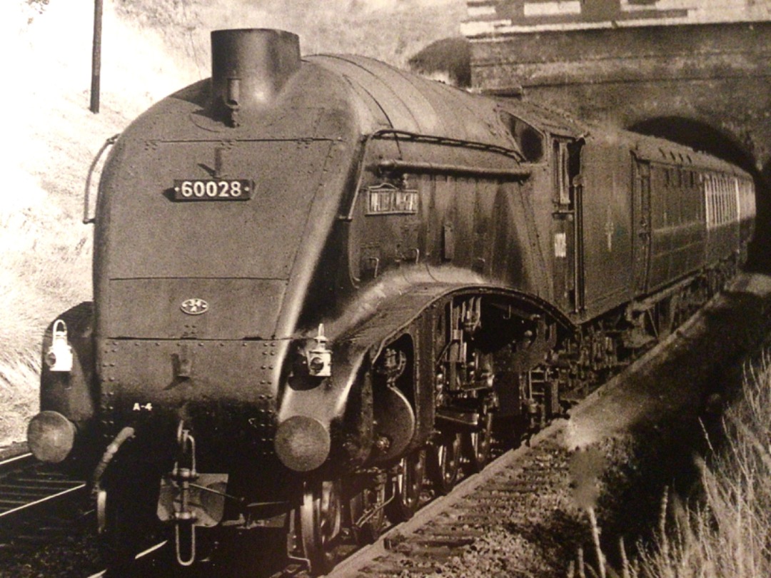 Alex Coomber on Train Siding: A Kings Cross's Class A4 4-6-2 No. 60028 Walter K Whigham bursts out of the northern end of Stoke Tunnel South of Grantham
with a down...