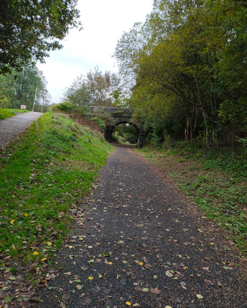 Brian Johnson on Train Siding: Ex LYR route from Rochdale to Bacup. Taken near the site of Whitworth station now housing association development