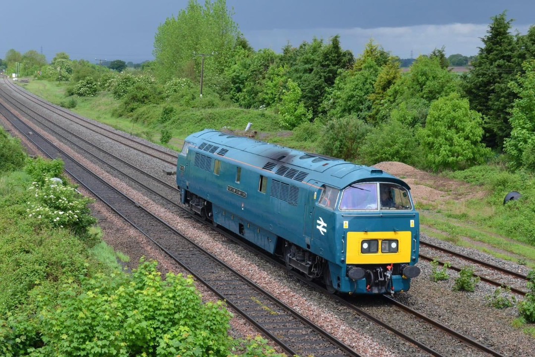 Inter City Railway Society on Train Siding: D1015 passes Elford after a heavy shower, on its way to the Severn Valley from Burton