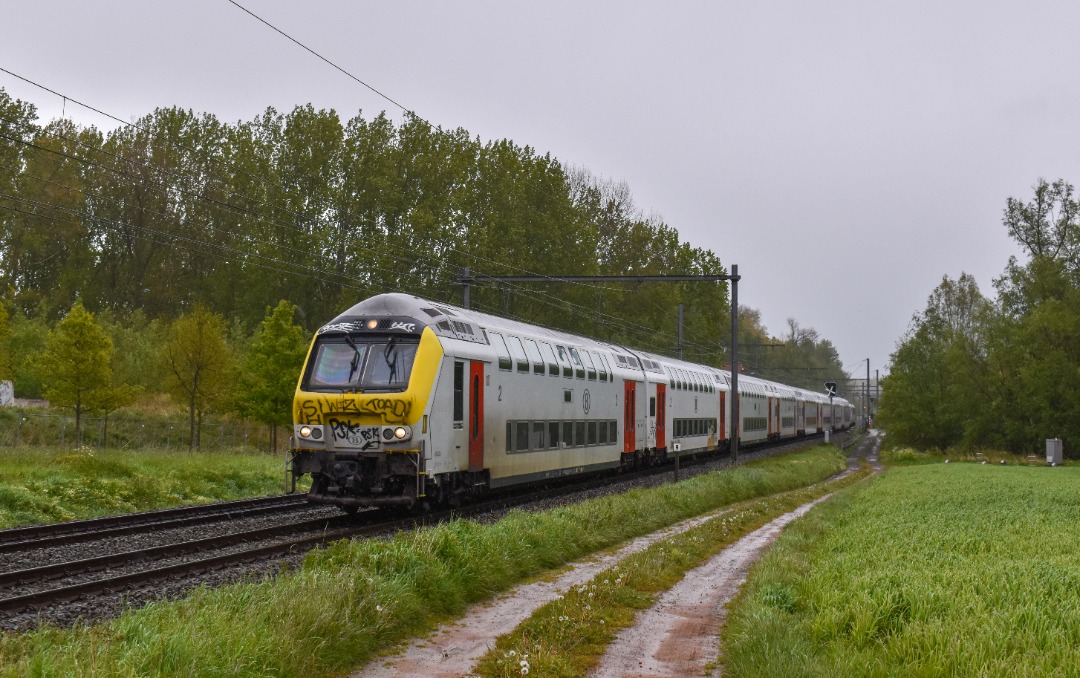 NL Rail on Train Siding: NMBS M6 stam met HLE 1865 komen langs de Terjodenstraat in Welle gereden als IC 5131 naar Zottegem en Kortrijk.