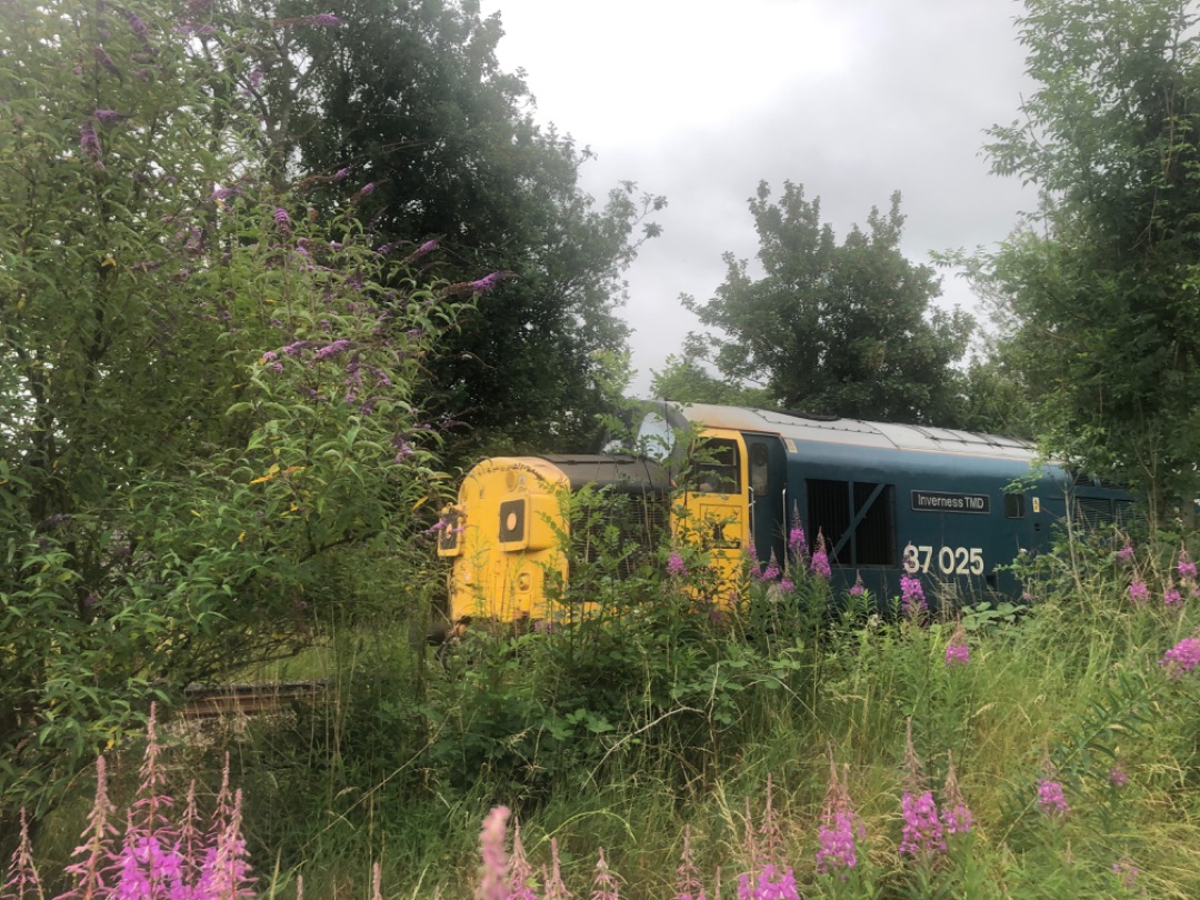 Andrew Brown on Train Siding: 37099 “Merl Evans 1947-2016” in Colas Rail Freight livery and 37025 “Inverness TMD” in British Rail Large
Logo livery have spent...