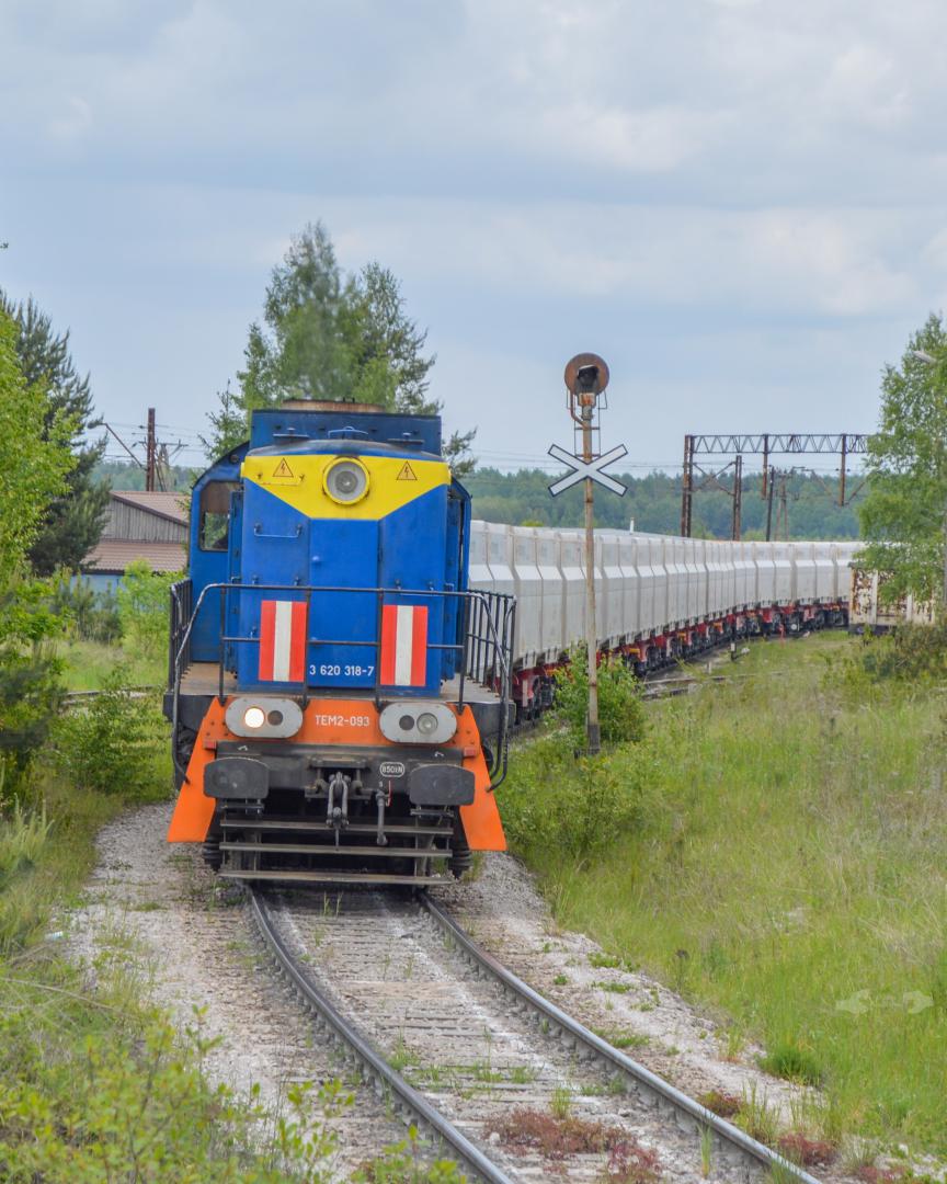 Adam L. on Train Siding: An Kotlarnia TEM2 Switcher, being currently leased by the local Nordkalk mine in Rykoszyn 🇵🇱 heads south with an lengthy
train...