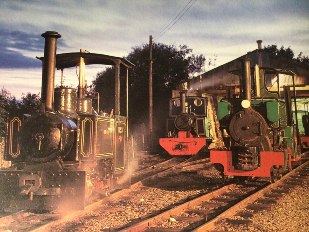 Alex Coomber on Train Siding: An evening line up at Pages Park. Rishra was built in 1921 by EG Baguley of Burton On Trent. Pixie was built by Kerr Stuart in
1922 and...