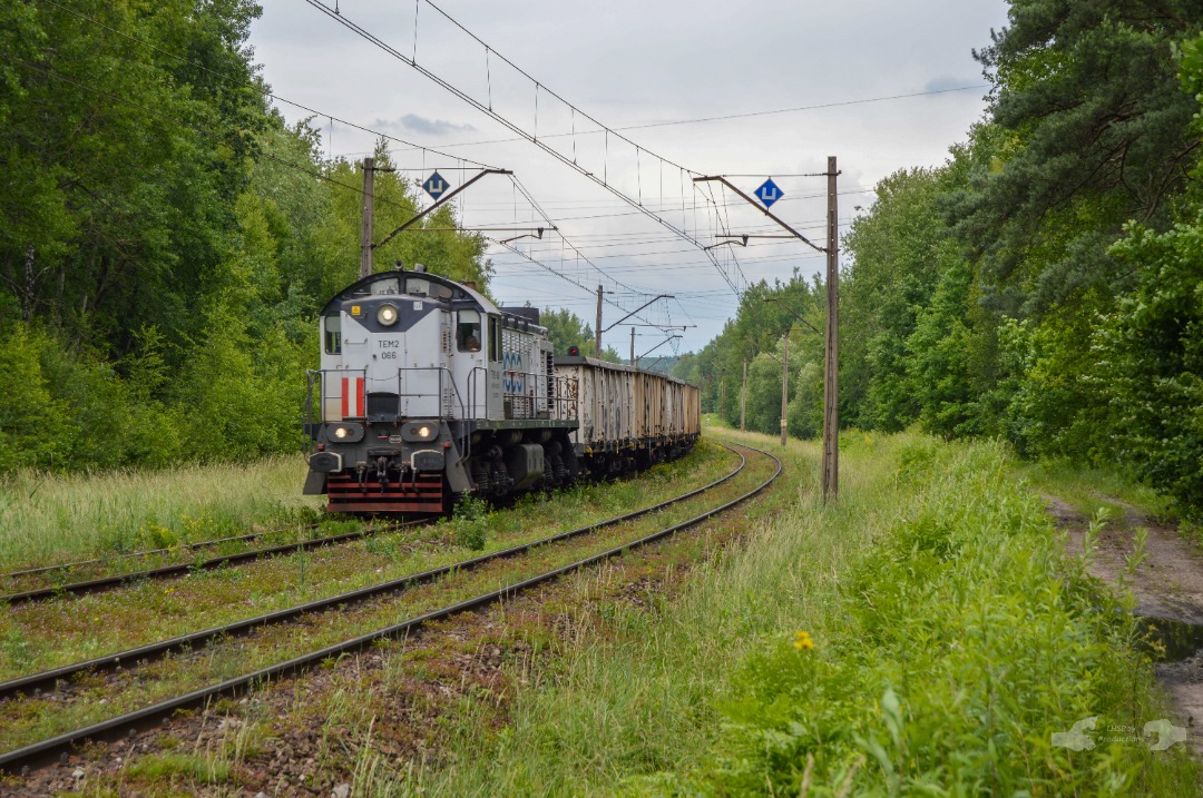 Adam L. on Train Siding: An Ecco Rail TEM2 shunter with an string of bad order gondolas owned by the same carrier, head south towards the main station in
Kielce....