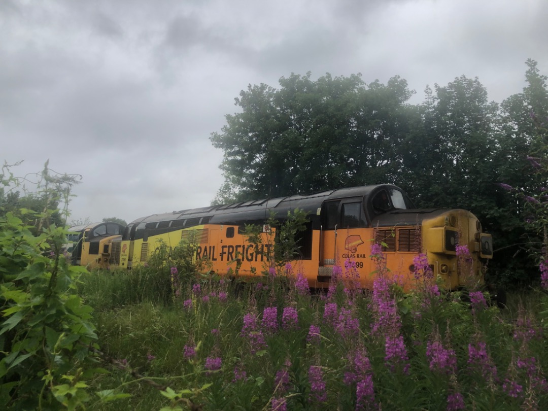 Andrew Brown on Train Siding: 37099 “Merl Evans 1947-2016” in Colas Rail Freight livery and 37025 “Inverness TMD” in British Rail Large
Logo livery have spent...