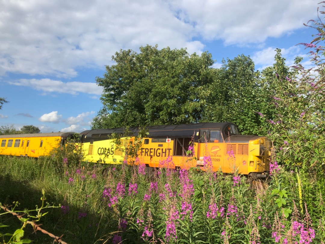 Andrew Brown on Train Siding: 37099 “Merl Evans 1947-2016” in Colas Rail Freight livery and 37025 “Inverness TMD” in British Rail Large
Logo livery have spent...