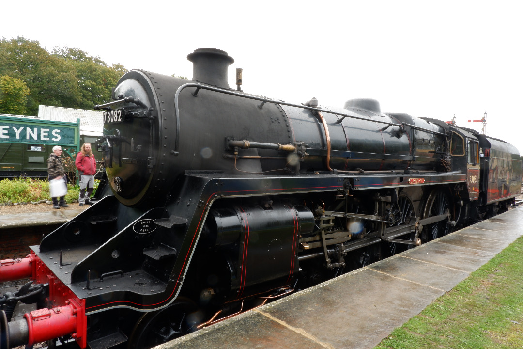 Rafael on Rails on Train Siding: Giants of Steam at the Bluebell Railway: 73082 Camelot, 6989 Wightwick Hall, 60007 Sir Nigel Gresley and 34059 Sir Archibald
Sinclair.