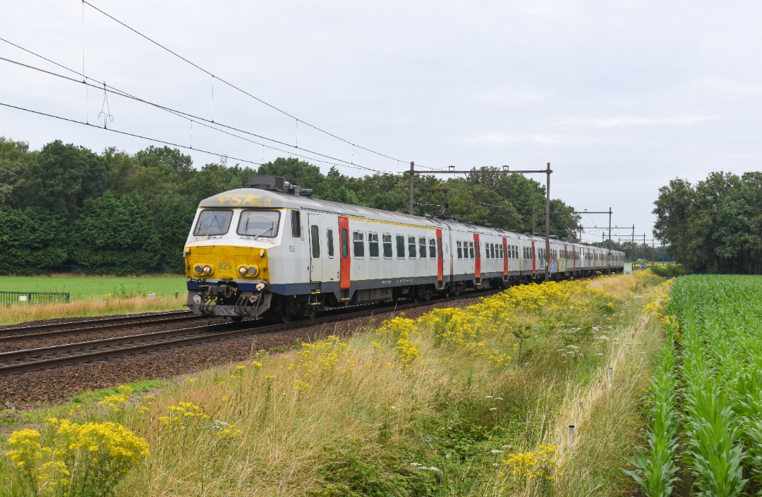 NL Rail on Train Siding: NMBS Varkensneus 825 en 828 rijden langs de Nigtestraat in Nispen als S32 naar Antwerpen-Centraal en Puurs.