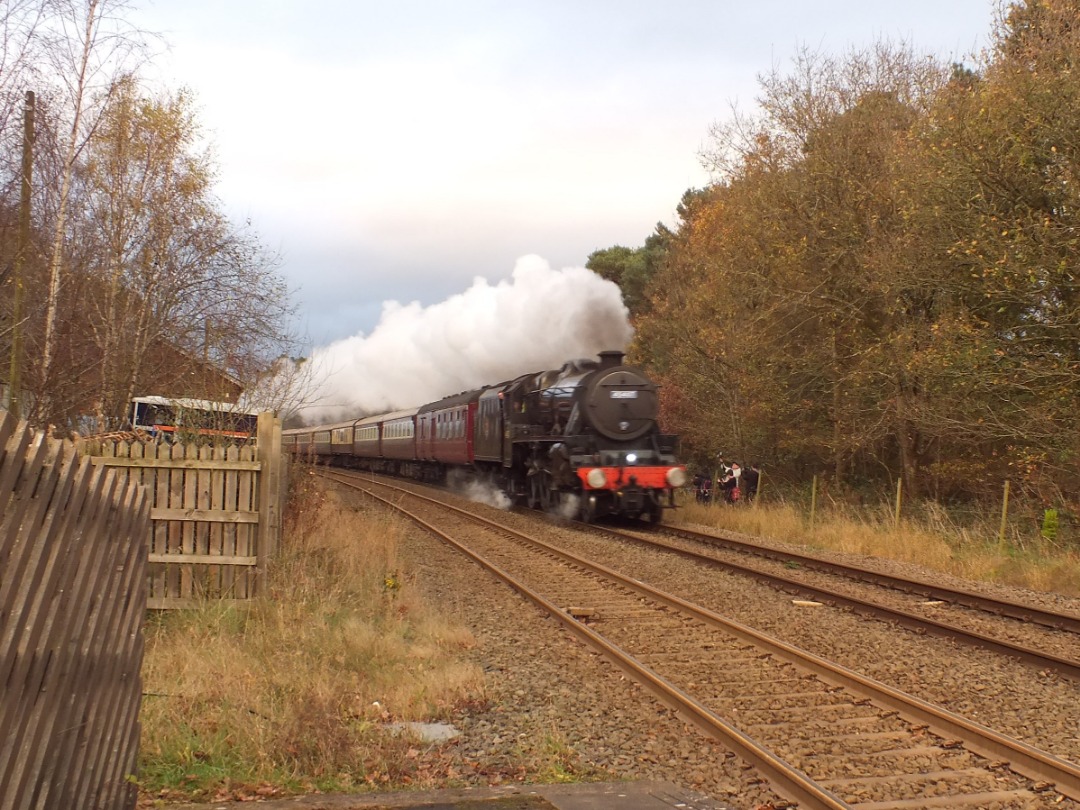 Whistlestopper on Train Siding: The late-afternoon Autumn light was beginning to fade on Saturday 17th November 2024 as 45407 "The Lancashire
Fusilier" stormed towards...