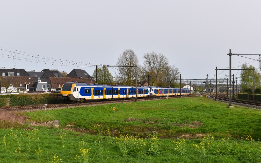 NL Rail on Train Siding: NS Flirts 2220 en 2506 komen langs Tongersestraat in Boxtel gereden als Sprinter 4460 naar 's-Hertogenbosch.