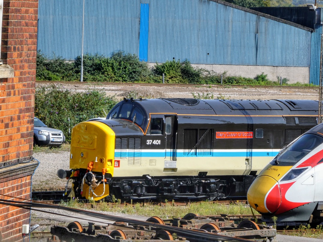 The Jamster on Train Siding: Locomotive Services 37401 pokes its nose out as it changes lines within Eastleigh works. 18/09/24