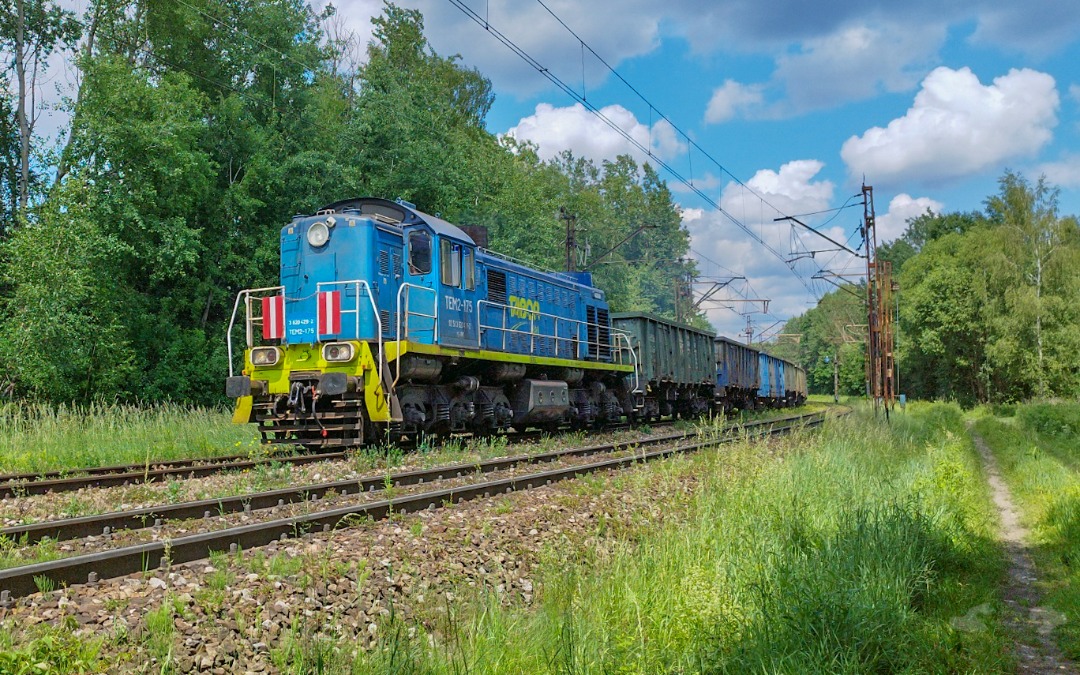 Adam L. on Train Siding: A Tabor Rail owned TEM2, numbered 175 is seen heading south at speed while shaving the curve outside of Kielce with a short string on
empty...