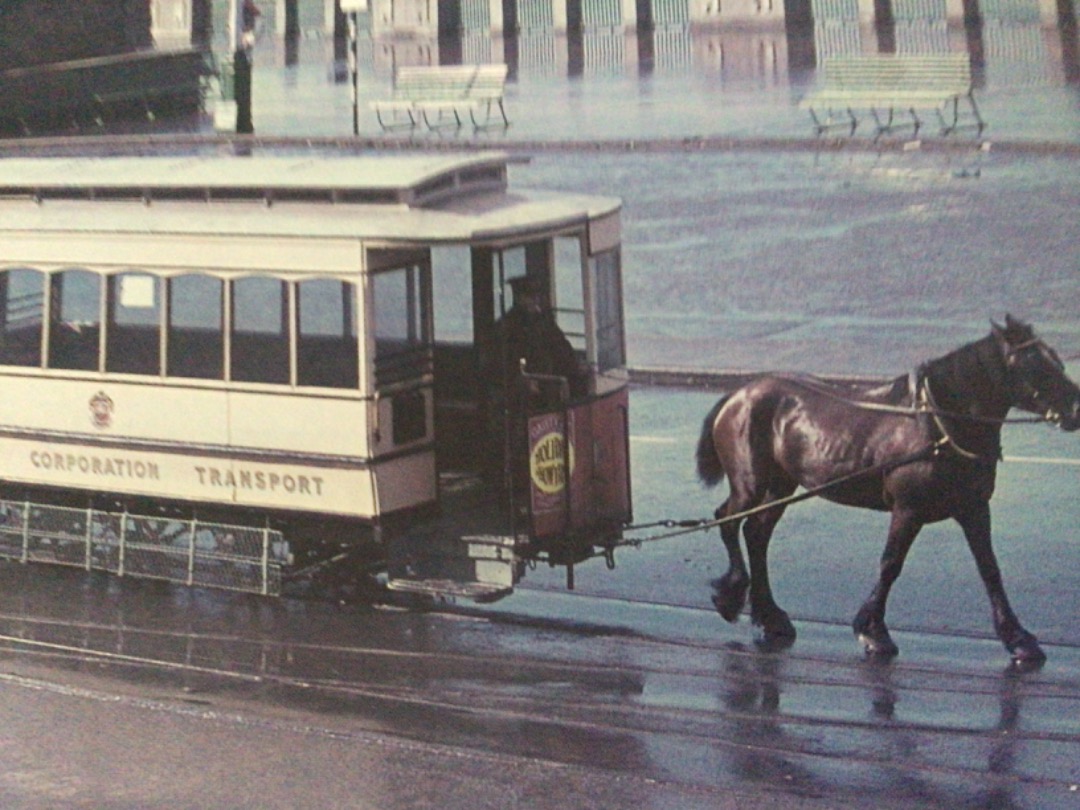 Alex Coomber on Train Siding: Horse drawn trams began trotting between Douglass Victoria Pier and Derby Castle in 1892. The 3.2km 2 miles is level and about 50
horses...