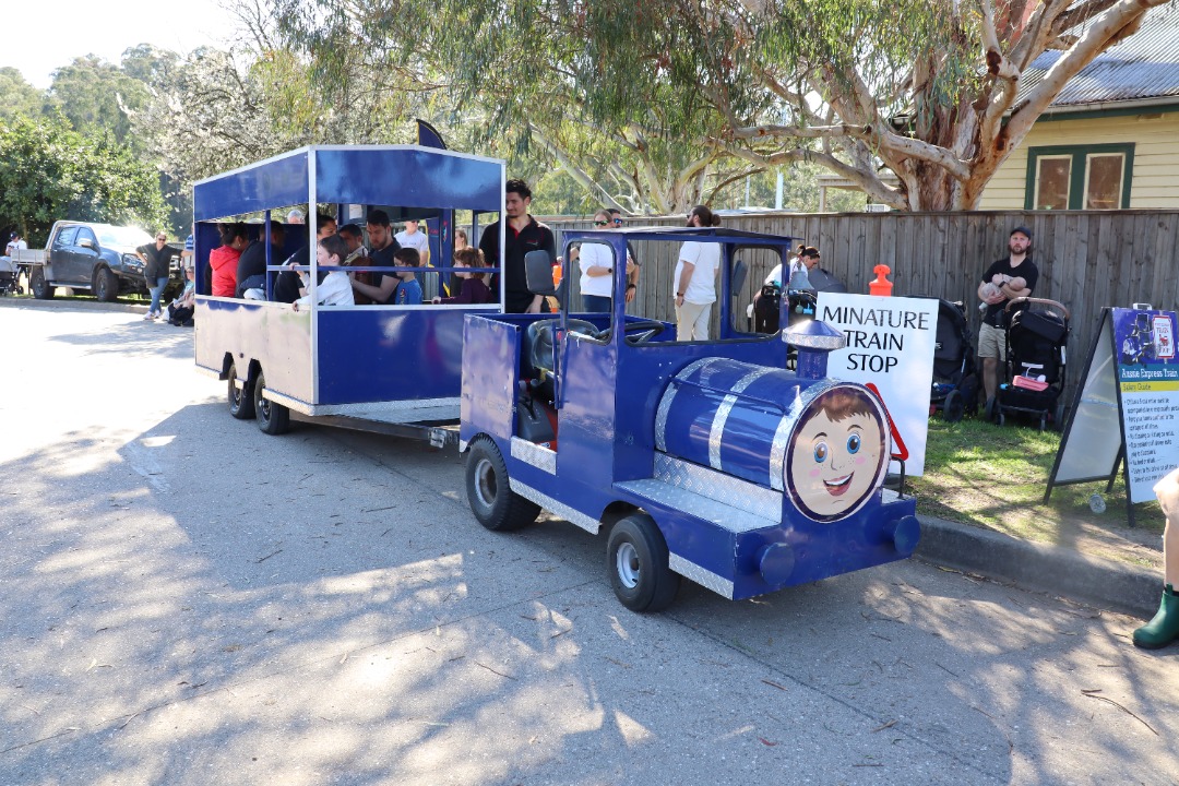 City Gunzals on Train Siding: Tomorrow, we will finish off Wattle Week on City Gunzals with a different, but special video.